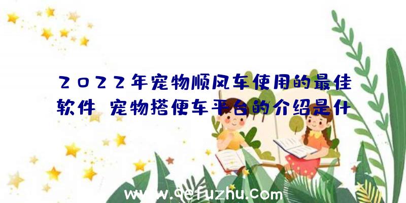 2022年宠物顺风车使用的最佳软件